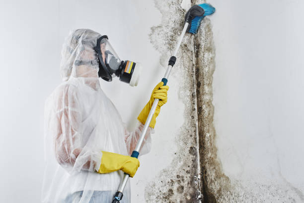 Best Industrial Mold Remediation  in Spring House, PA